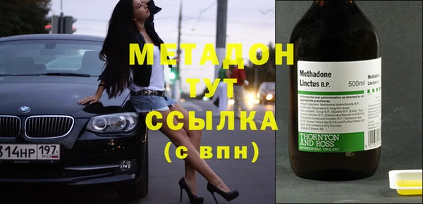 хмурый Пересвет
