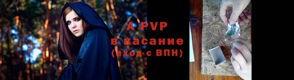 хмурый Пересвет