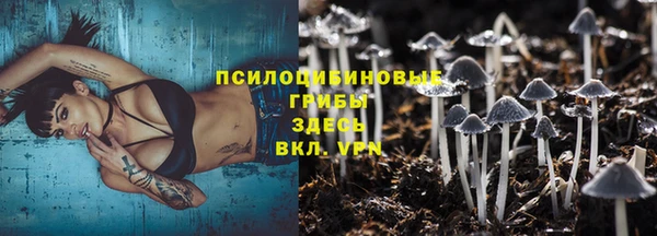 хмурый Пересвет